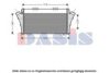 ITAL1 51749913 Intercooler, charger